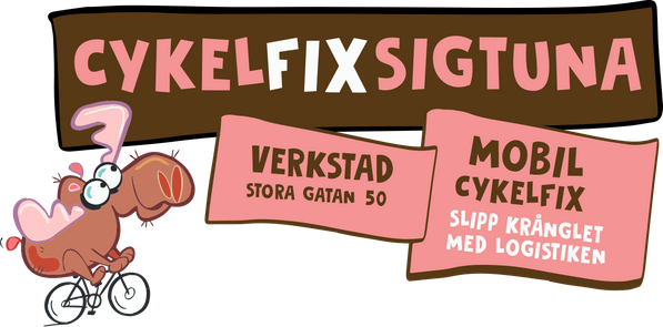 Cykelreparation Sigtuna